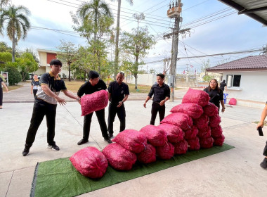 สำนักงานสหกรณ์จังหวัดหนองคายกระจายหอมแดง(ปึ๋ง) ... พารามิเตอร์รูปภาพ 34